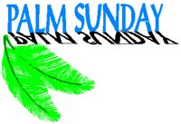 PALMSUN.PCT