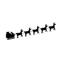 SLEIGH.PCT