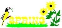 SPRING.PCT