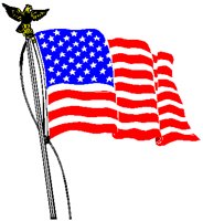 WAVEFLAG.PCT