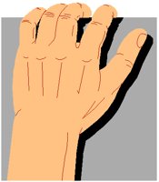 HANDGRIP.PCT