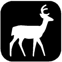 DEER.PCT