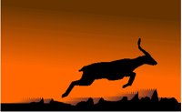 GAZELLE.PCT