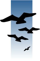 GULLS.PCT