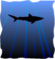 SHARK.PCT