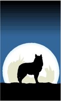 WOLFMOON.PCT