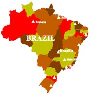 BRAREG.PCT