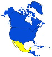 MEXICOHI.PCT