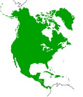NAMERICA.PCT