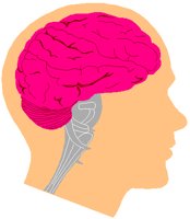 BRAIN.PCT