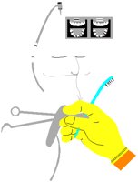 DENTSTRY.PCT