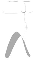 TOOTH.PCT