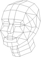 WIREMAN.PCT