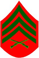 M_SGT.PCT