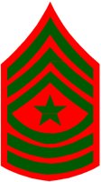 SGTMAJ.PCT