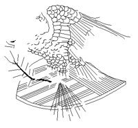 EAGLE4.PCT