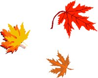 3LEAVES.PCT