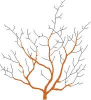 BARETREE.PCT