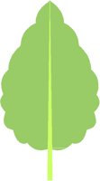 CURVLEAF.PCT