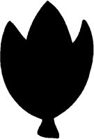 ICON5.PCT