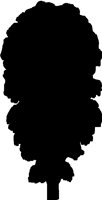 ICON6.PCT