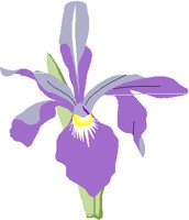 IRIS.PCT