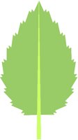 JAGLEAF2.PCT