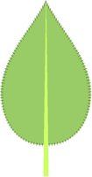 JAGLEAF3.PCT