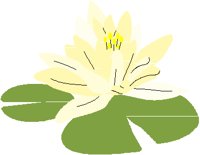 LILLYPAD.PCT