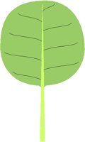 PADDLE2.PCT