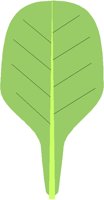 PADDLEAF.PCT