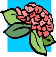 PINKBUD3.PCT