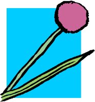 PURPBUD.PCT