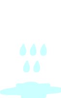 RAINCLD.PCT