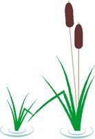 REEDS.PCT