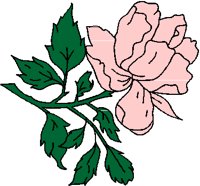 ROSE3.PCT