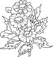 SKETCHFR.PCT