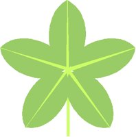 STARLEAF.PCT