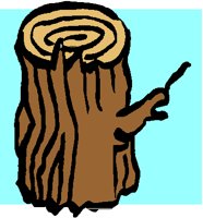 STUMP.PCT