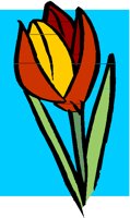 TULIPBUD.PCT