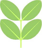 UPFROND.PCT