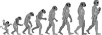 EVOLUTON.PCT