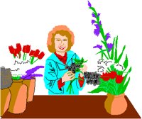 FLORIST.PCT