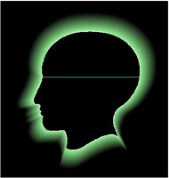 GLOWHEAD.PCT