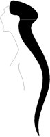PROFILE2.PCT
