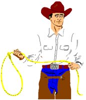 COWBOY.PCT
