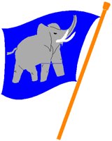 ELEPFLAG.PCT