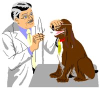 VETDOG.PCT