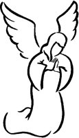 ANGEL.PCT