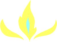 FLAME.PCT